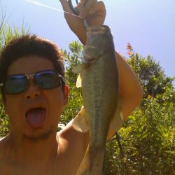 ノーシンカーリグ